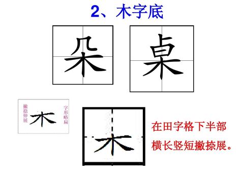 木字旁好看的字|部首為木的字